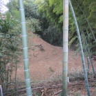 三の郭側から、折れ部分を