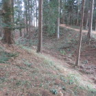 土橋東の二重目の堀を土塁上から