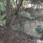 奥ノ山との堀切を城山から