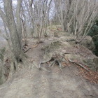 岩が尾根を塞ぐ