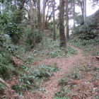 左下は堀底を通り東光寺ビョウへ