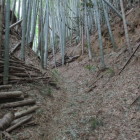 入口の先の道、堀を思わせる