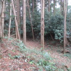 主郭東の堀