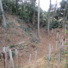 本郭の堀