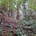 剣ヶ峰砦手前の堀切
