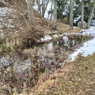 お玉が池も一部凍結