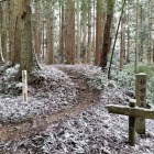 現在の本丸北側登城口