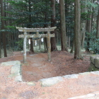 東側の鳥居と下段は段曲輪群