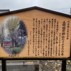 ⑨	五明神社のイチョウの木の説明板