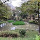 下茶屋公園　堀跡の池