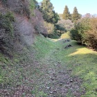 【毘沙門岳城】高良山北側斜面の横堀と土塁
