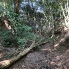 【吉見嶽城】吉見岳山頂東側の堀切