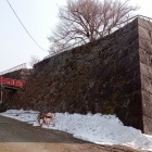 渡雲橋と本丸石垣