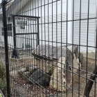 槻の木高校の構内に展示されている高槻城の石