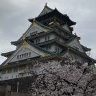 かるたの手札