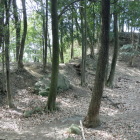 二の郭　土塁