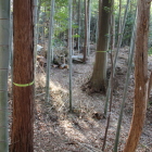 横堀１