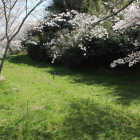 本丸北横堀と土塁