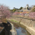 大手橋からの眺め逆川を入れて
