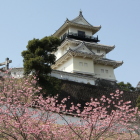 二の丸庭園より掛川桜に浮ぶ天守閣