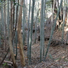 主郭土橋西の空堀