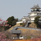 真っ白に修復された復元天守閣