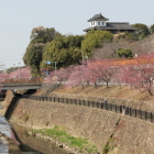 大手橋からの眺め太鼓櫓