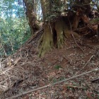 土塁上の櫓台