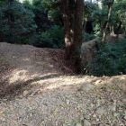 三重堀の土橋