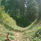 杉山城の空堀