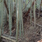 弓塚と呼ばれる高土塁