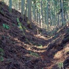 少し登ると中城の横堀