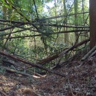 二重堀の一条