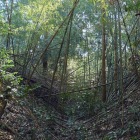 堀底道は迷路のよう