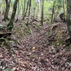 清水谷　御屋敷跡から水ノ手の間にある竪堀