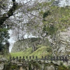 登城口付近の登り石垣と竪堀