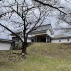 北東隅櫓(城内より撮影)