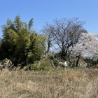 大溝城本丸跡の眺め