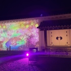台所前庭の夜桜茶会をイメージしたプロジェクションマッピング