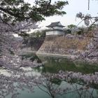 桜越しの六番櫓