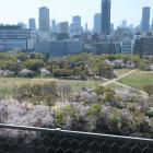 展望台から西の丸庭園を望む
