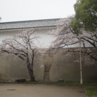 大手門巨石