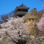 西櫓