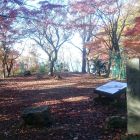 桜馬場