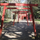 北の丸跡内部、城山稲荷鳥居列