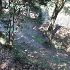 北の丸跡北下の空堀と土塁