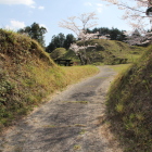 二の曲輪虎口から桜・奥に東尾根曲輪