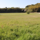三の丸南東の太鼓櫓跡辺りから西へ三の丸跡を見る