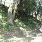 北の丸東下腰郭東下高切岸