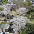 埋門と西端城曲輪方向